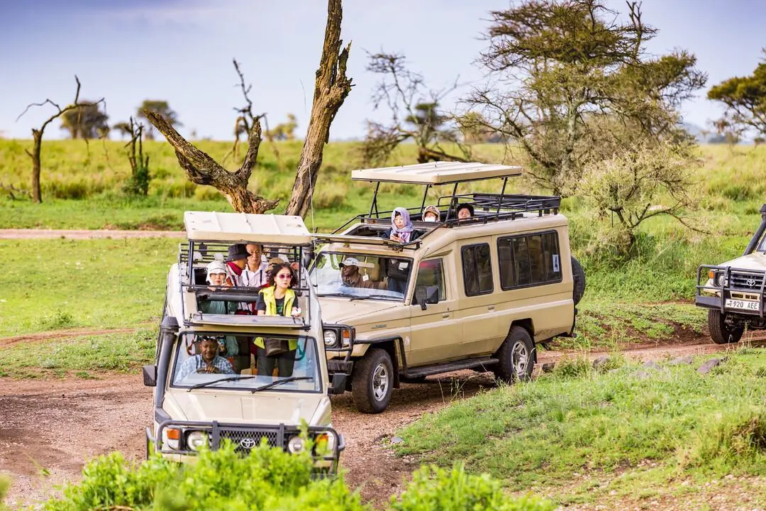 Why Travel Insurance Is Essential for Your Tanzania Safari - source photograph, page 1