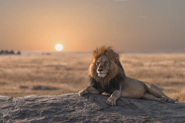 The best time to visit Tanzania