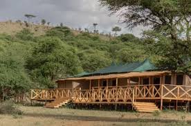 Signature Collection Serengeti safari image