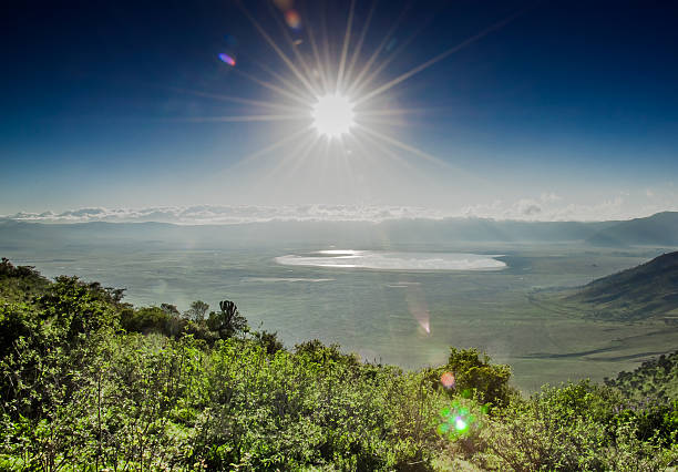 3-Day Ngorongoro and Ndutu Calving Season Wildlife Safari