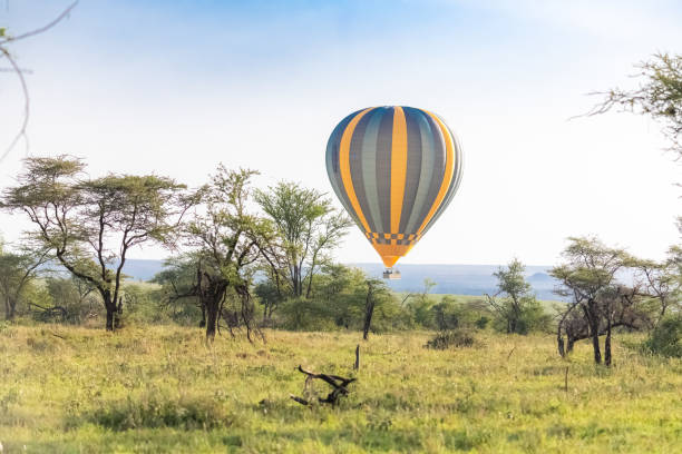 Hot Air Balloon