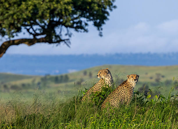 Serengeti National Park