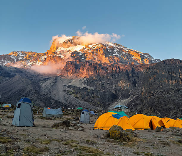 8-Day Northern Circuit Route Kilimanjaro Trek