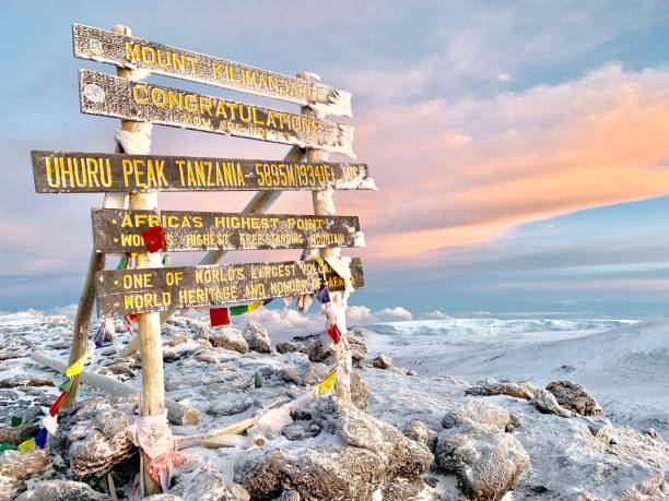 8-Day Northern Circuit Route Kilimanjaro Trek