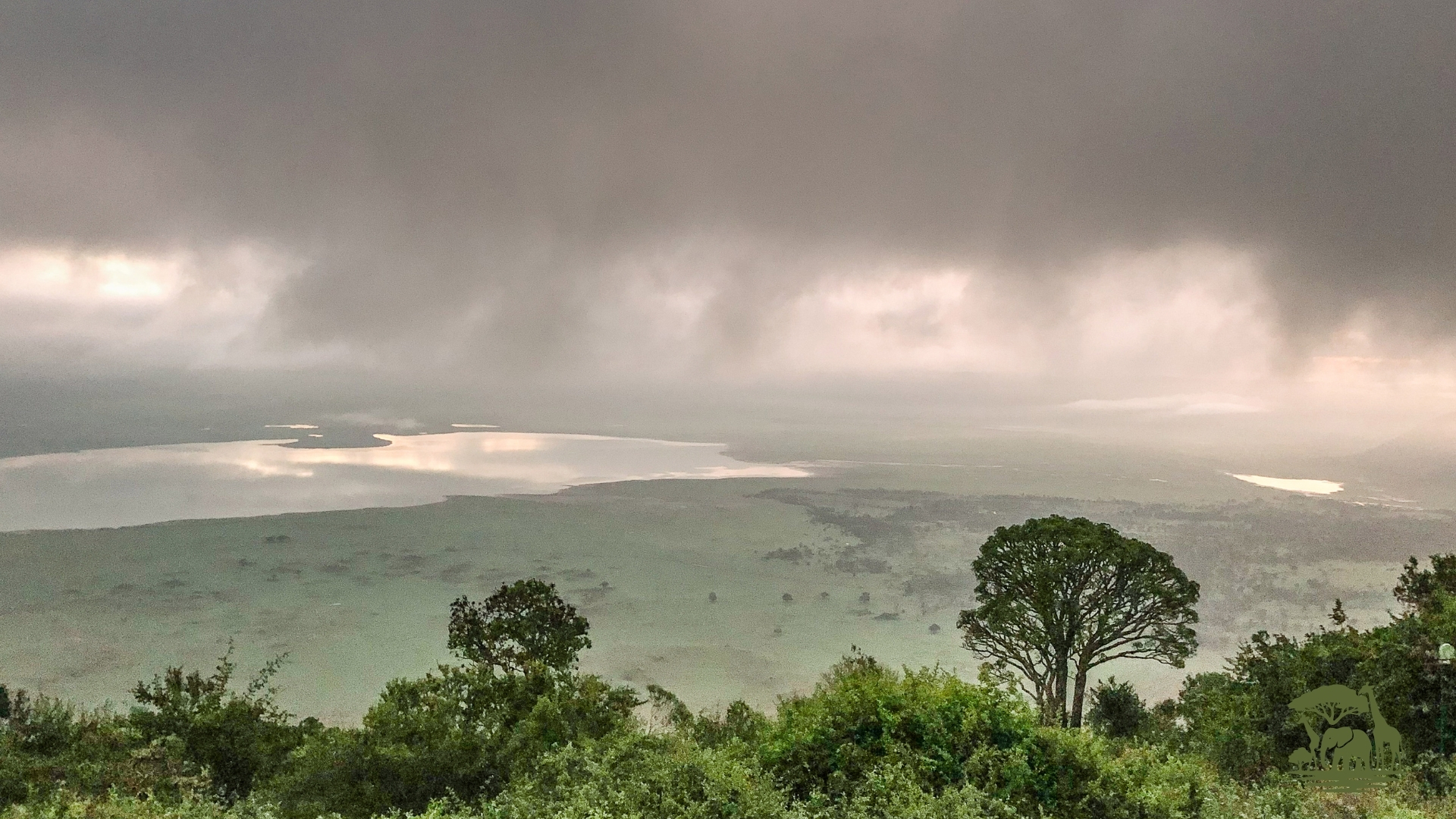 Ngorongoro Conservation Area landscape