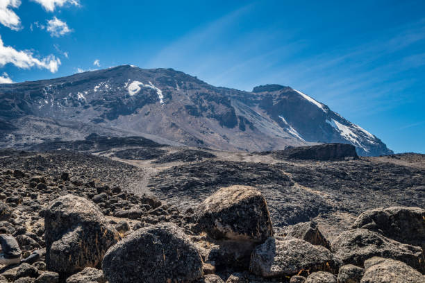 8-Day Northern Circuit Route Kilimanjaro Trek
