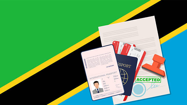 A traveler filling out the Tanzania e-Visa application on a laptop