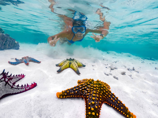 Coral Reef
