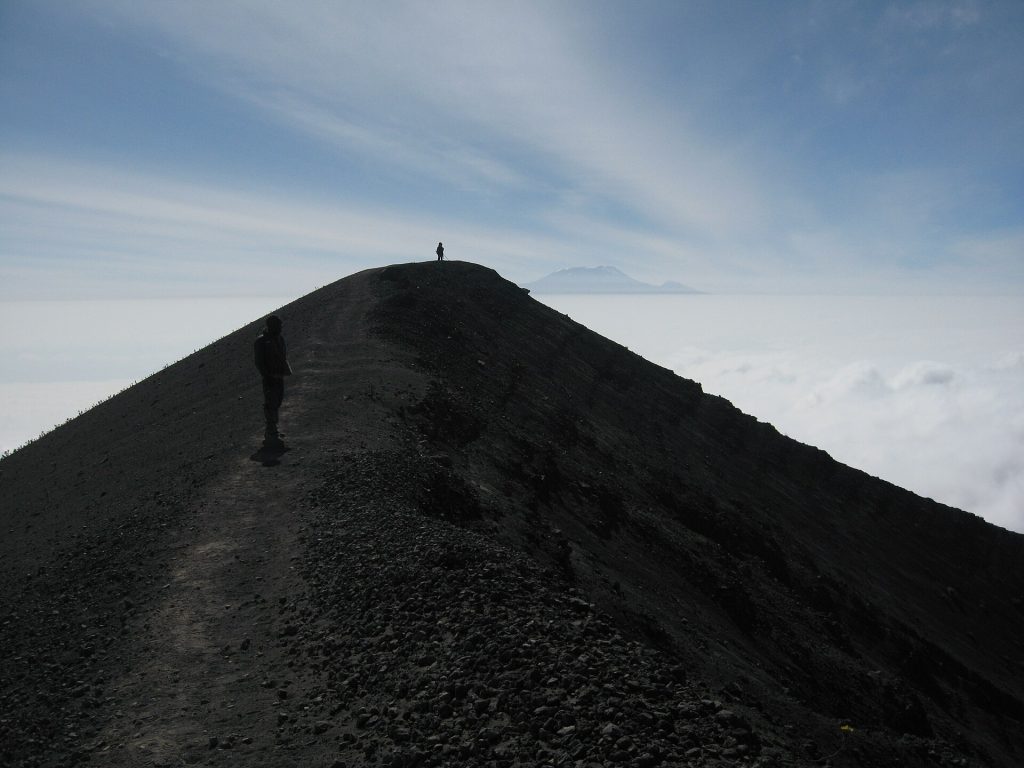 Real travel image for Arusha National Park Guide Wildlife, Walking, Best Time, and Why It Fits Shorter Trips