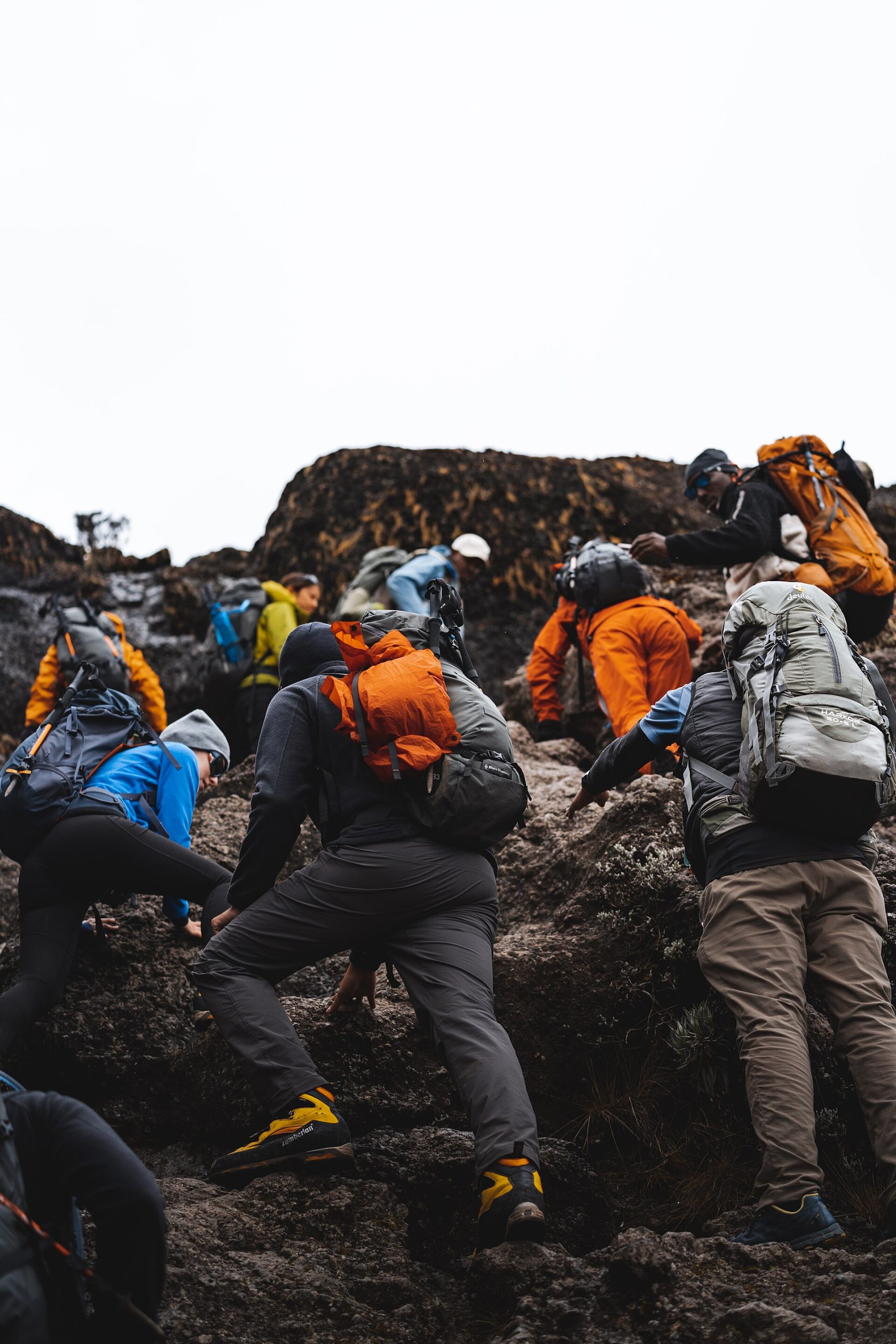 Real travel image for Arusha National Park with a Kilimanjaro Trip When It Makes Sense