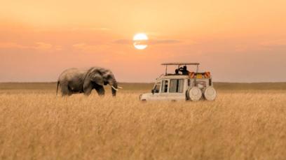 Best Safari Tanzania Tanzania safari guide image 1