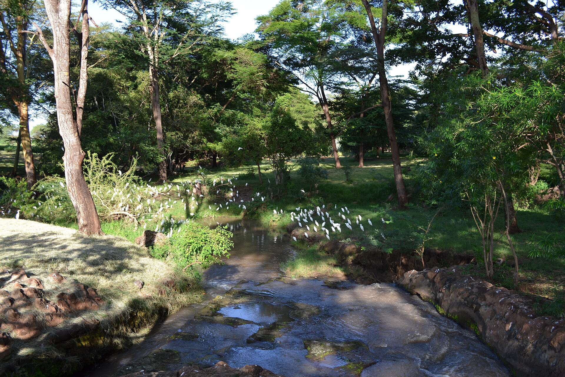 Real travel image for Best Tanzania Honeymoon Safari Itinerary