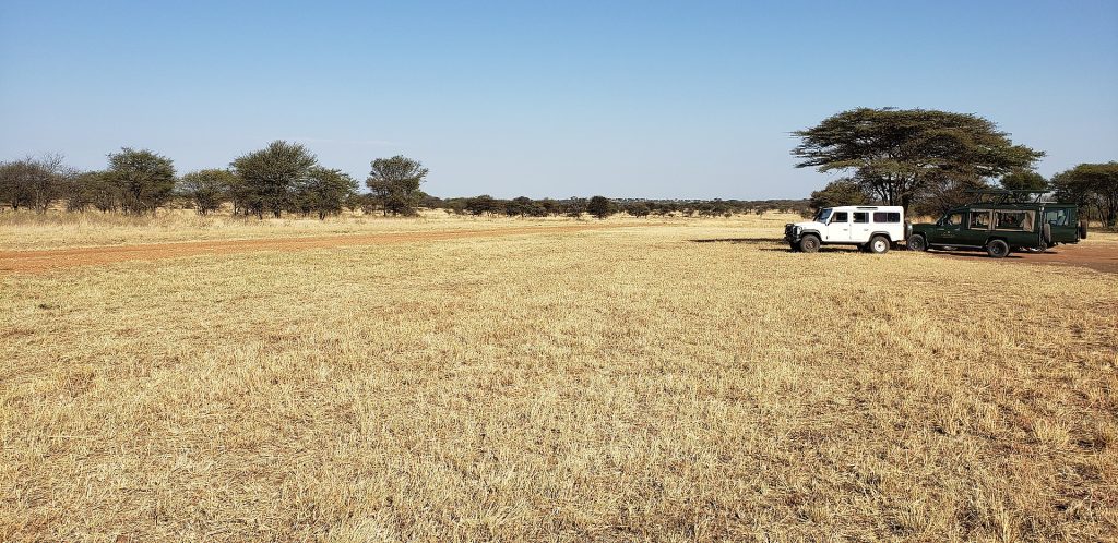 Real travel image for Best Tanzania Safari for First Timers