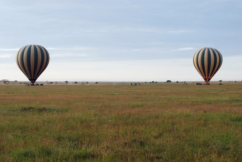 Real travel image for Best Time for a Tanzania Honeymoon Safari