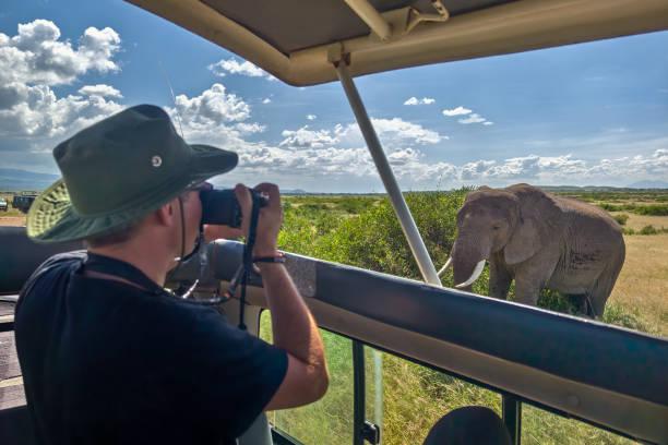 Big Five Photography Tanzania safari guide image 2