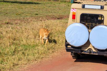 Budget Safari Tanzania Tanzania safari guide image 1