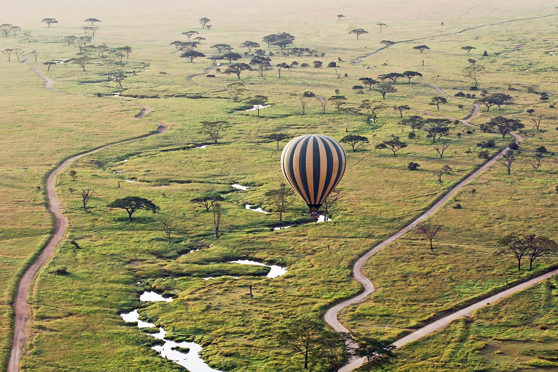 Real travel image for Central Serengeti Migration Safari