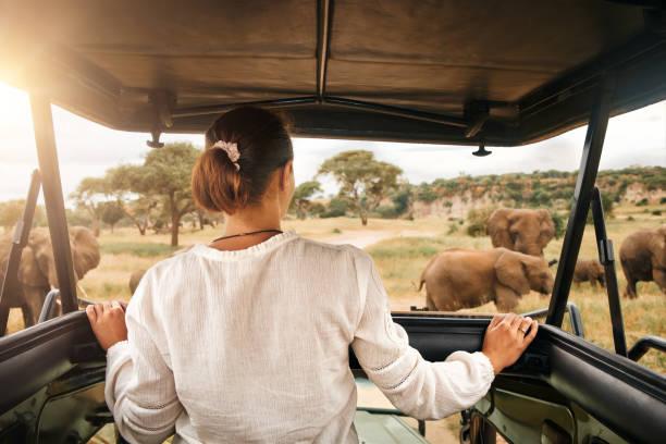 East African Safari Tanzania safari guide image 2