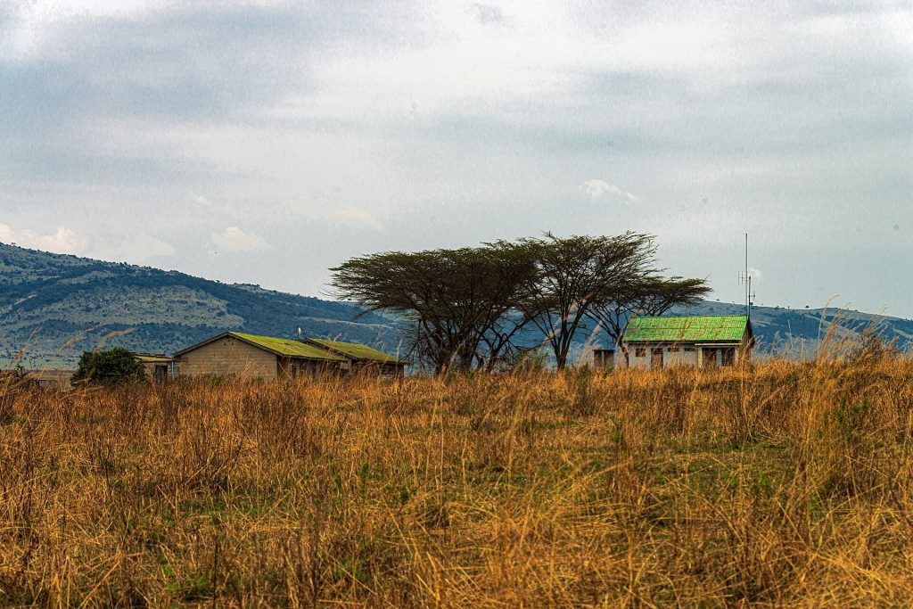 Real travel image for Family Safari Itinerary in Tanzania for 5 to 7 Days