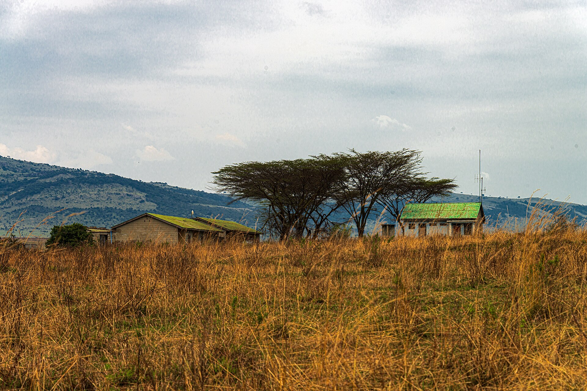 Family-friendly five to seven day Tanzania safari itinerary