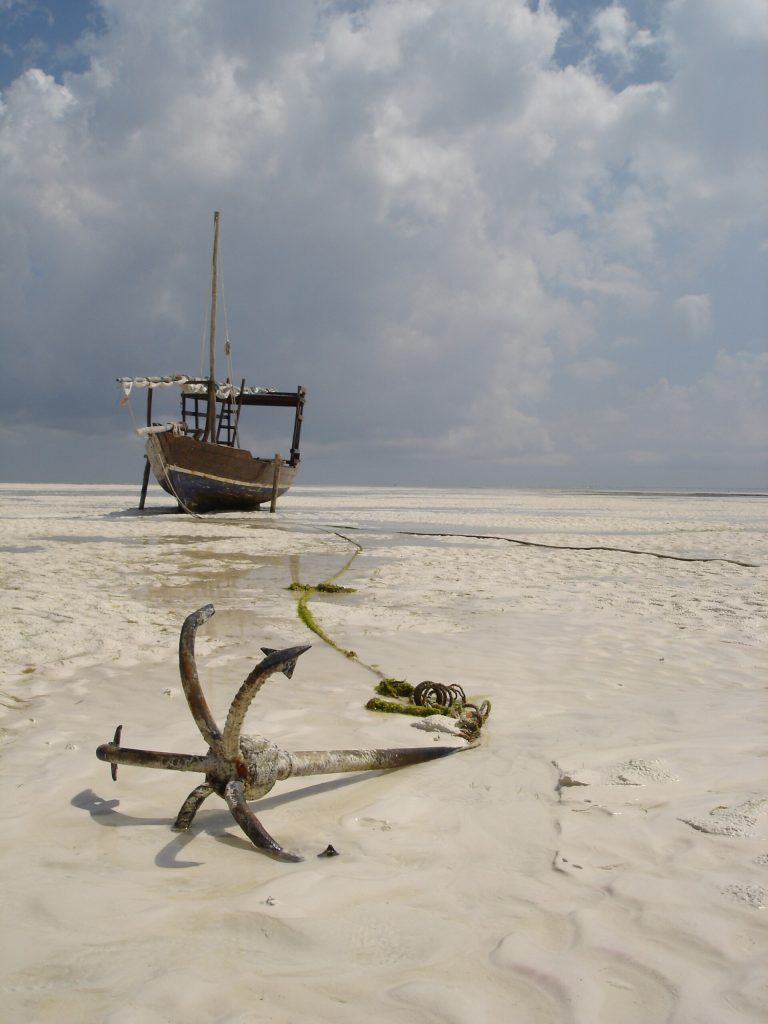 Real travel image for First Tanzania Safari and Zanzibar