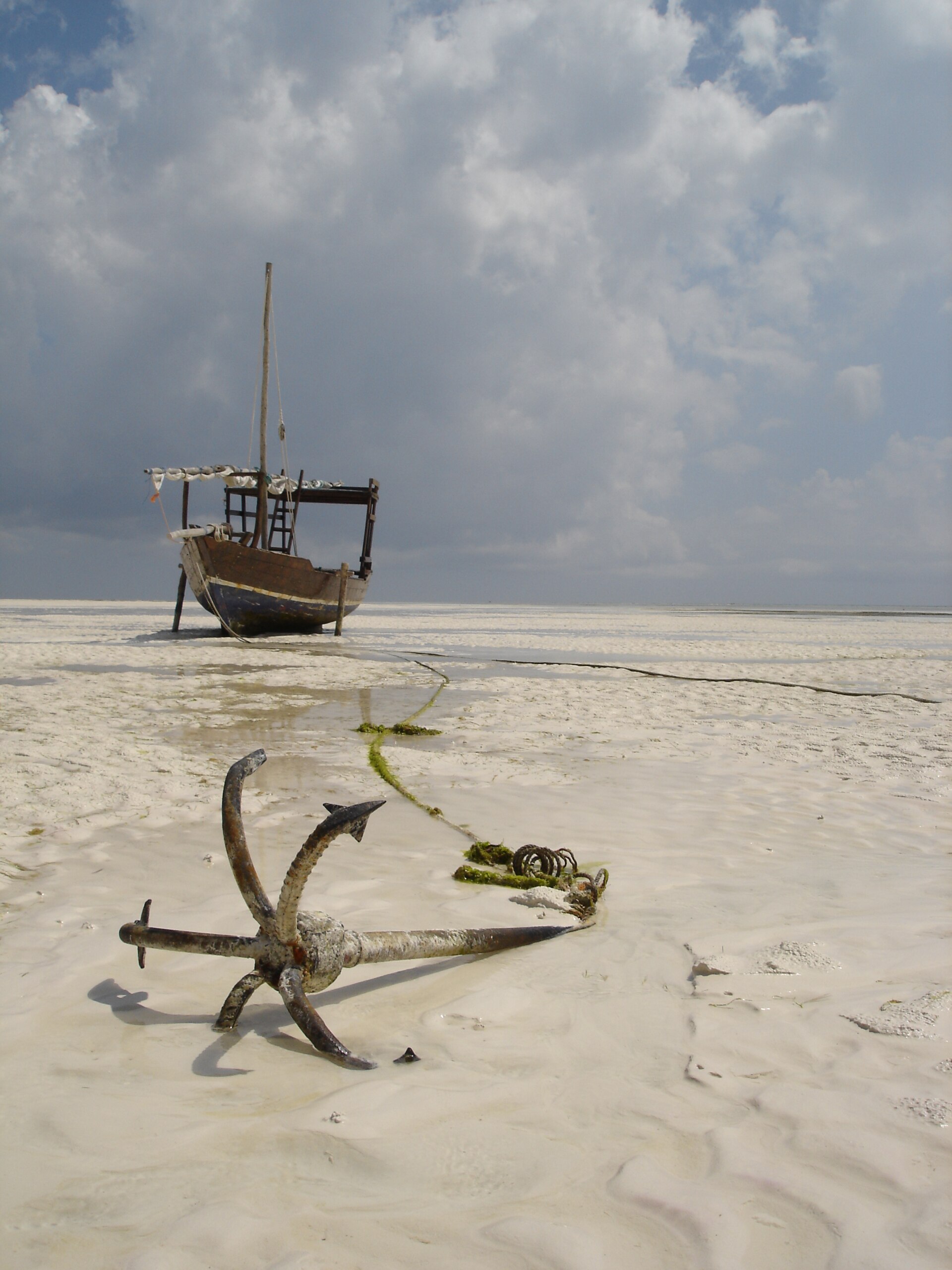 Real travel image for First Tanzania Safari and Zanzibar