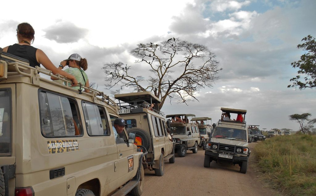Real travel image for How Many Days for First Tanzania Safari