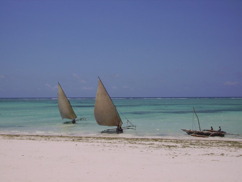 Real travel image for How Much Does a Safari From Zanzibar Cost?