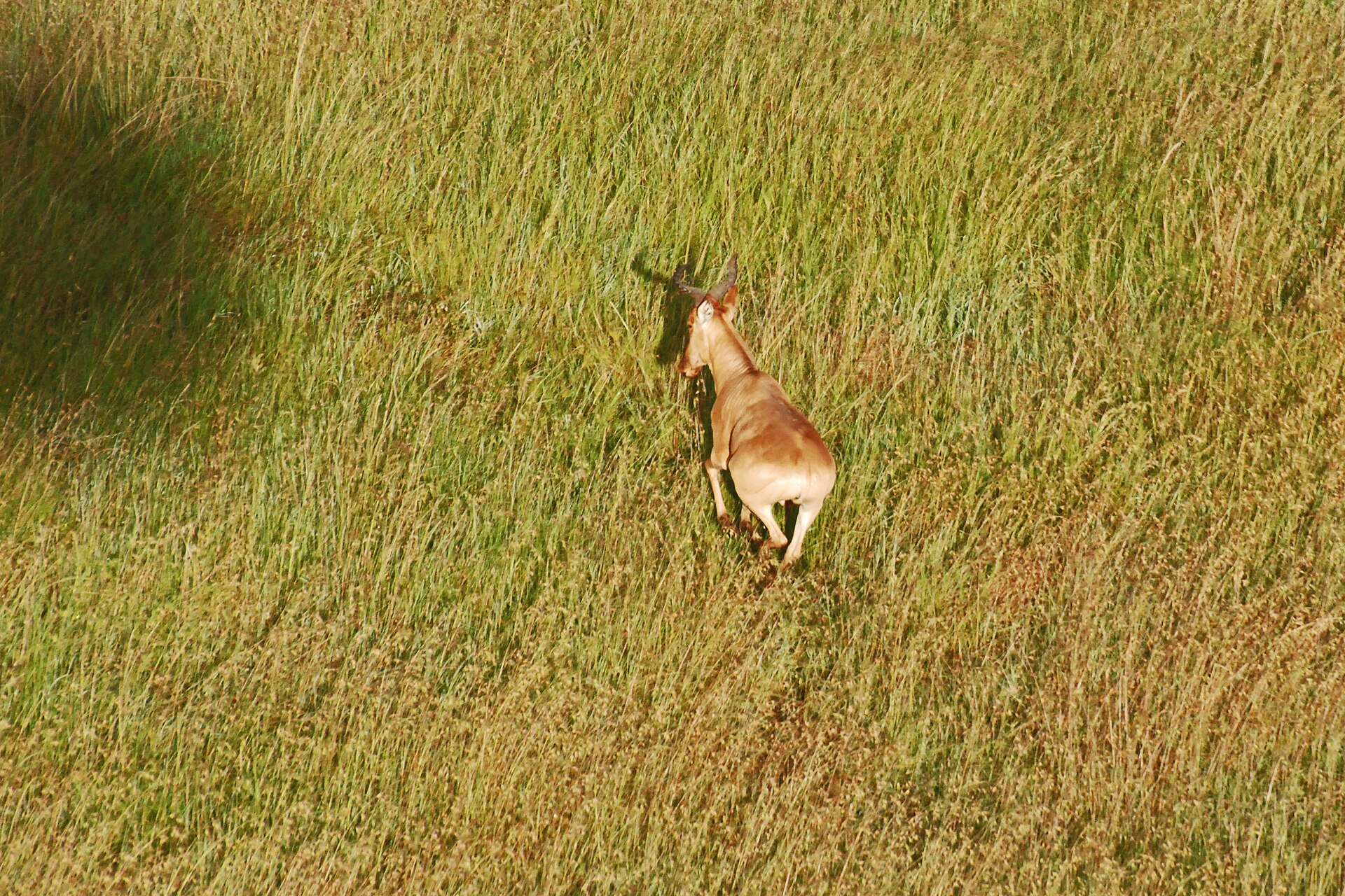 Family friendly safari lodge planning for Tanzania safari accommodations