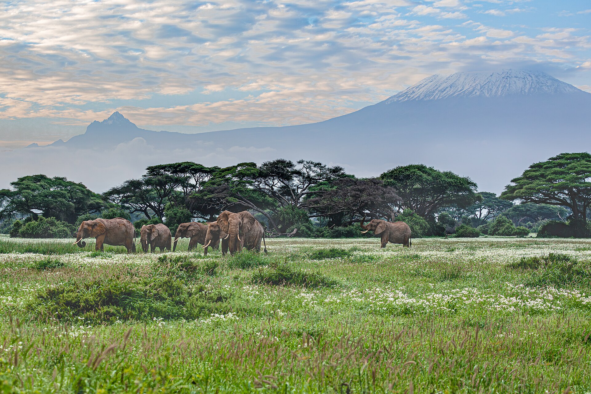 Amboseli National Park and Mount Kilimanjaro for Kenya safari planning