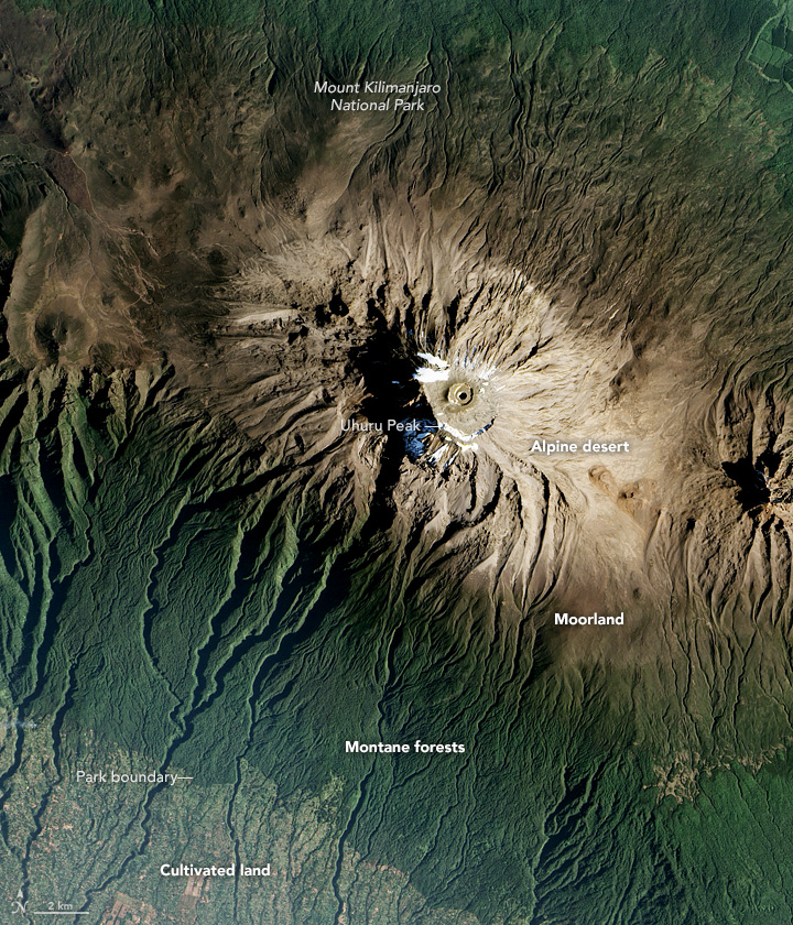 Real travel image for Kilimanjaro Training Plan Guide How to Prepare Without Overcomplicating It
