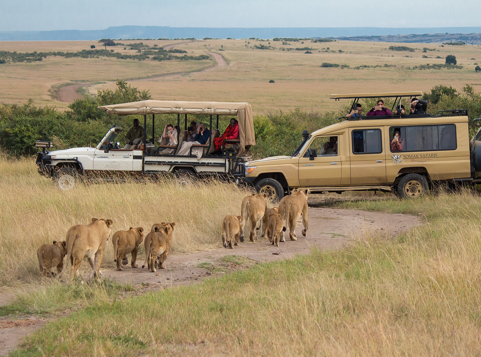 Real travel image for Lake Manyara for First-Time Visitors What to Expect Before You Go