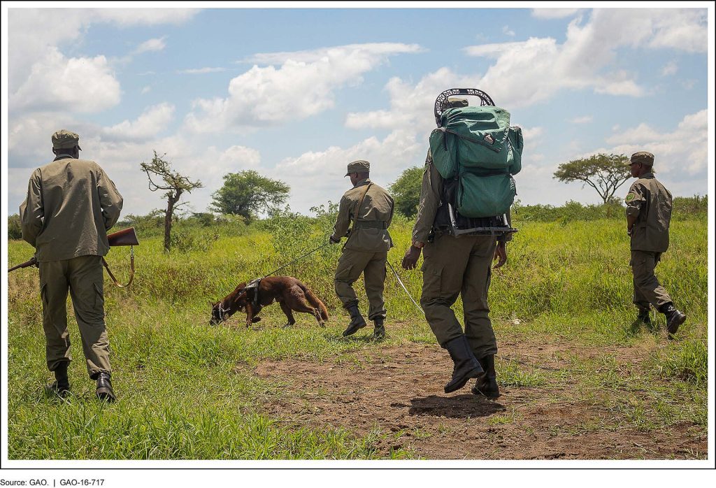 Real travel image for Lake Manyara vs Arusha National Park Which Short Safari Add-On Fits Better?