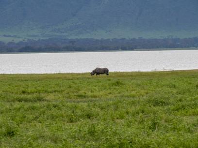 LUXURY TANZANIA SAFARI EXPERIENCE INTRODUCTION Tanzania safari guide image 7
