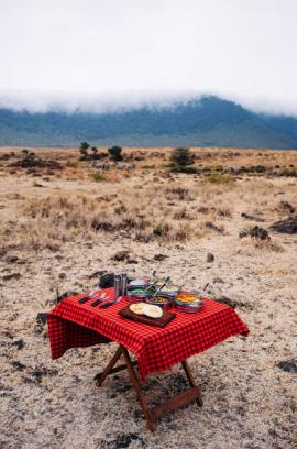 LUXURY TANZANIA SAFARI EXPERIENCE INTRODUCTION Tanzania safari guide image 16
