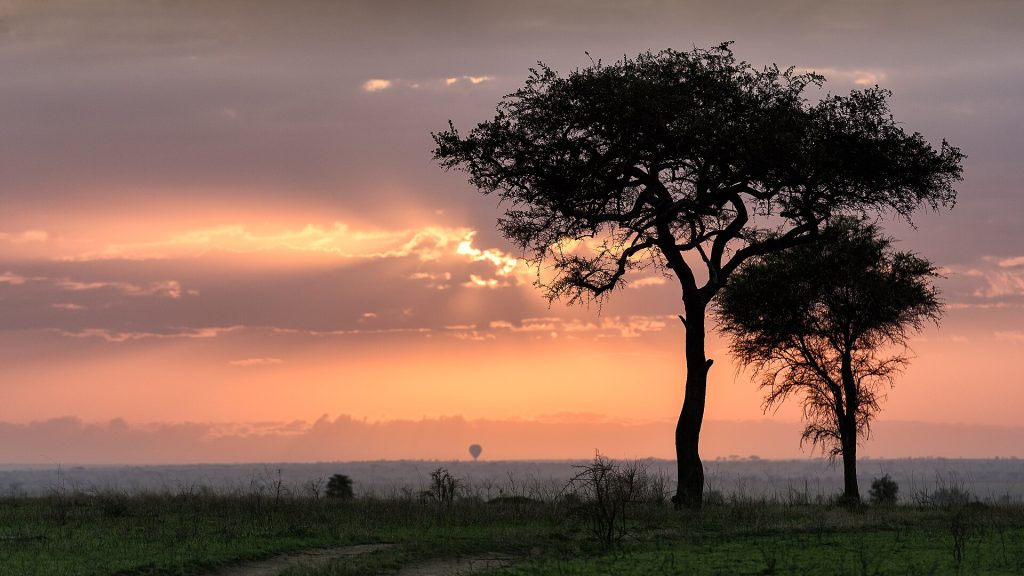 Real travel image for Ndutu Calving Season Safari Guide