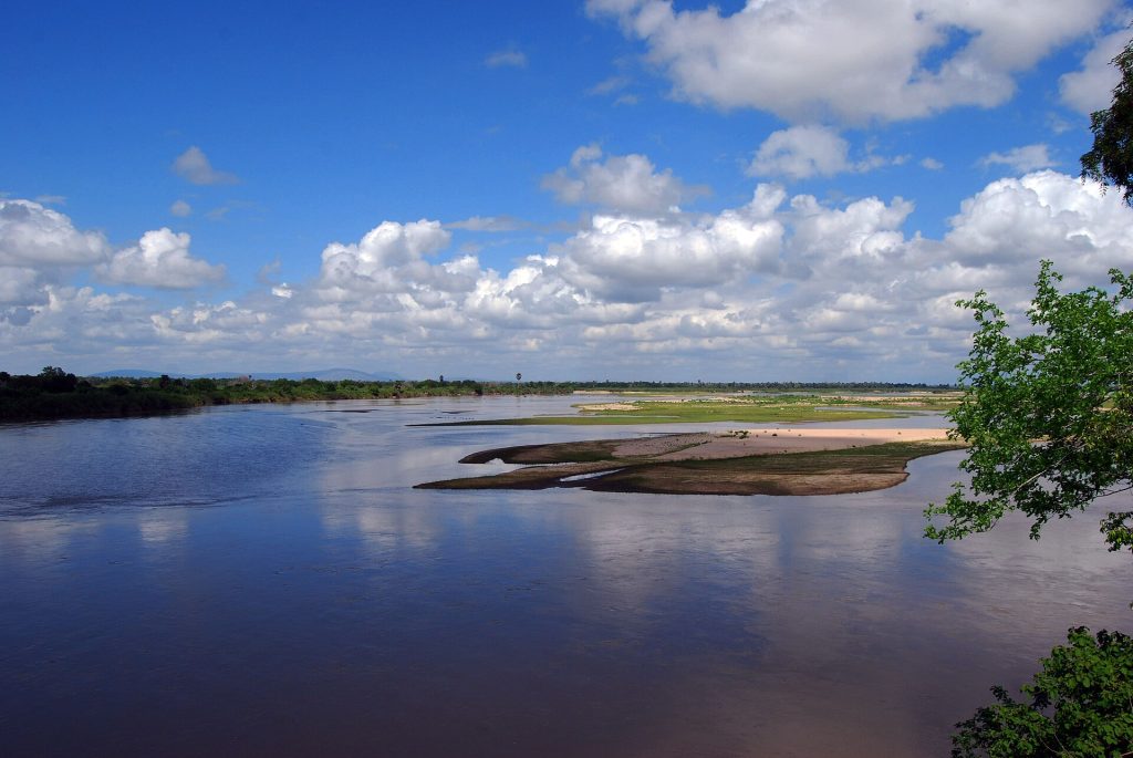 Real travel image for Nyerere Fly-In Safari Guide When Flying Makes the Route Stronger