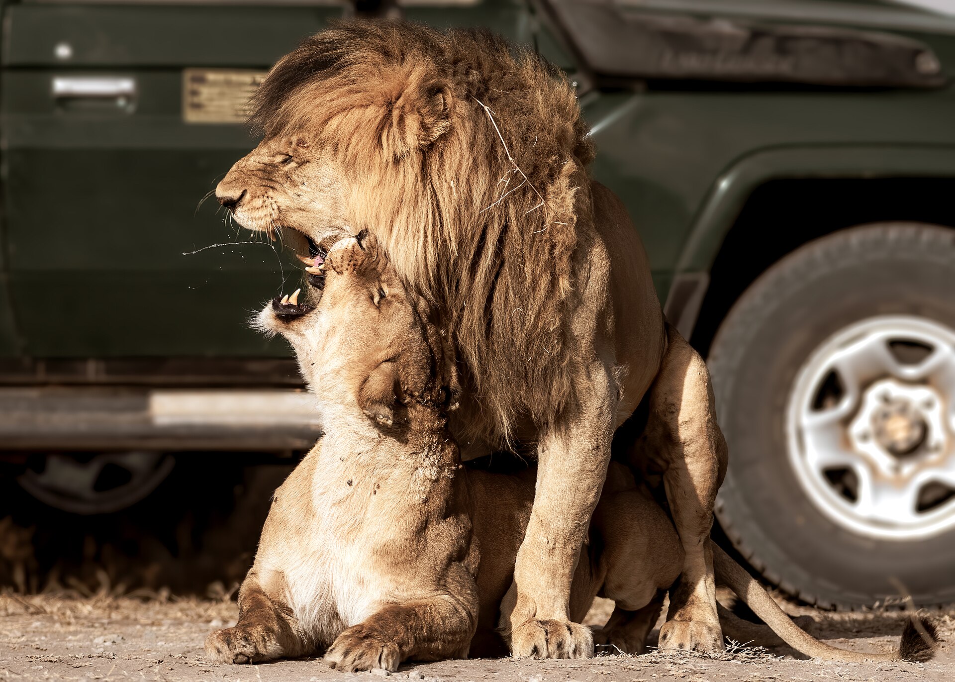Real travel image for Private Photography Safari Tanzania