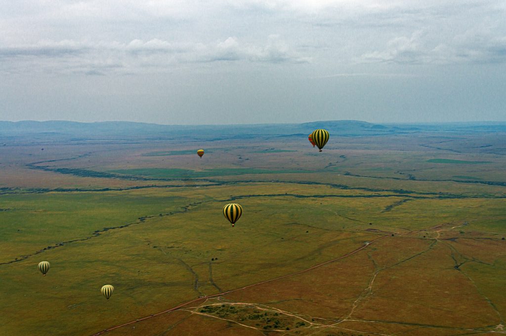 Real travel image for Ruaha vs Serengeti Which Safari Style Fits Your Priorities Better?