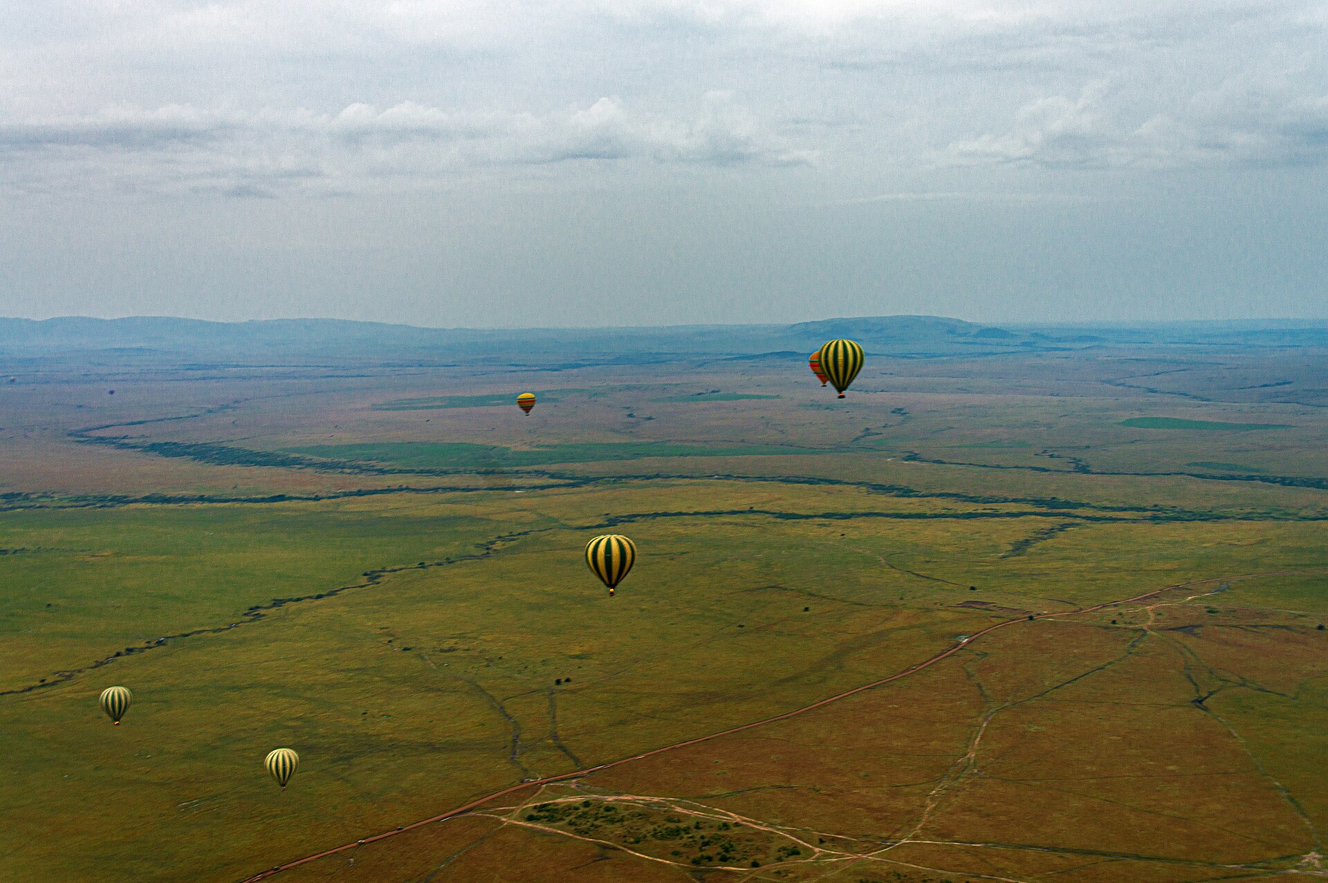Real travel image for Ruaha vs Serengeti Which Safari Style Fits Your Priorities Better?