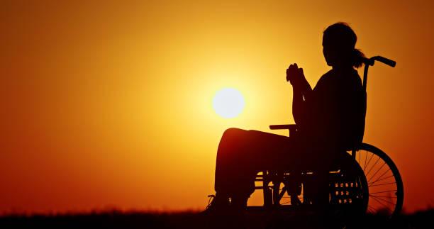 Safari for Wheelchair Users in Tanzania Tanzania safari guide image 1