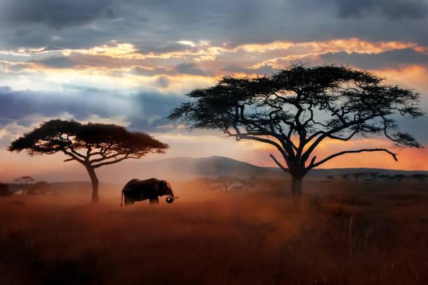 Safari vehicle route moment during a six-day Tanzania itinerary