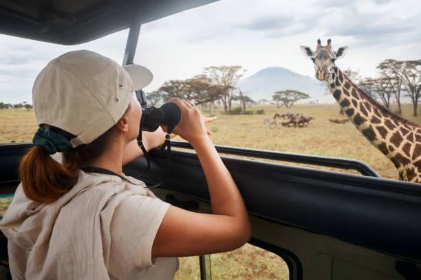 Six day Tanzania safari holiday wildlife scene