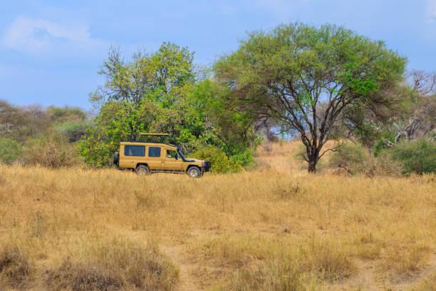 Safari Itinerary Tanzania Tanzania safari guide image 3