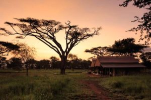 Safari Lodge Accommodation in Tanzania Tanzania safari guide image 3
