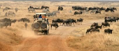 Safari Park Fees in Tanzania Tanzania safari guide image 2