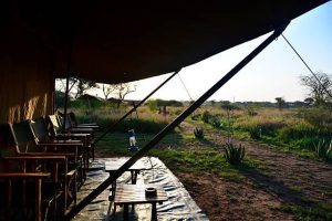 Safari Tented Camp in Tanzania Tanzania safari guide image 1
