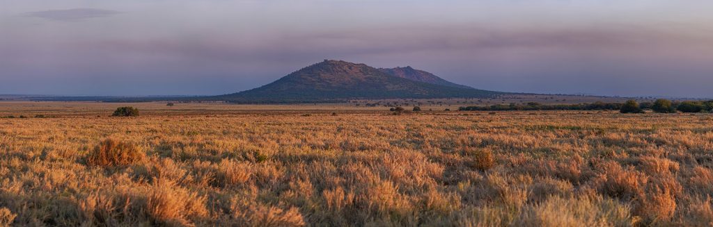 Real travel image for Serengeti for First-Time Visitors What Matters Most Before You Book