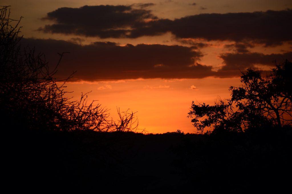 Real travel image for Serengeti Photography Safari Guide