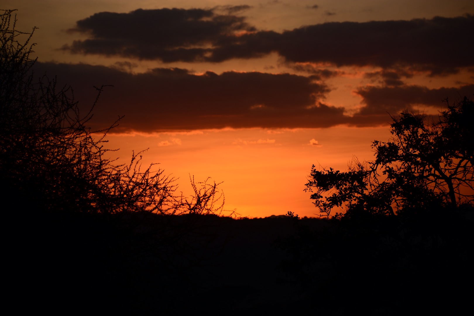Real travel image for Serengeti Photography Safari Guide